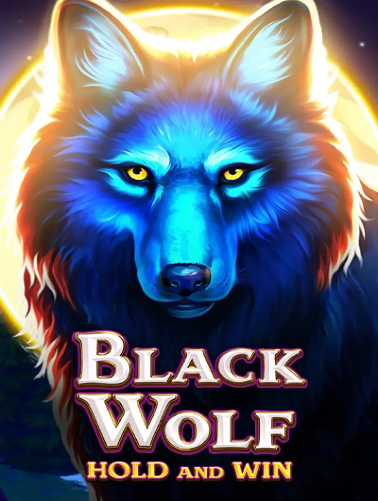 K88 Black Wolf: Hold and Win